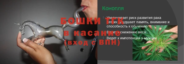 индика Абинск