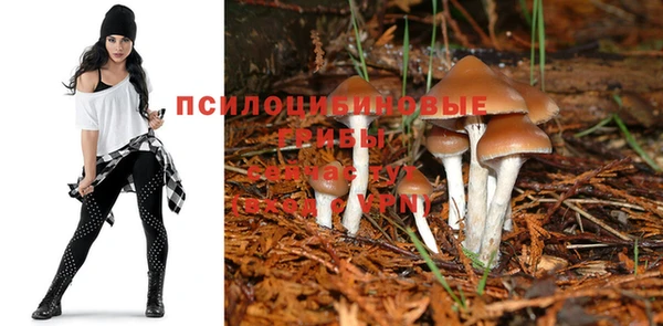 индика Абинск