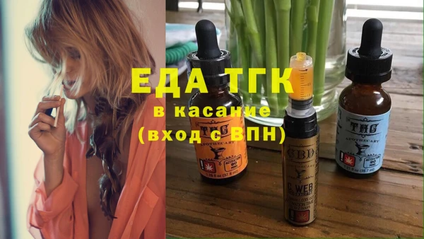 индика Абинск