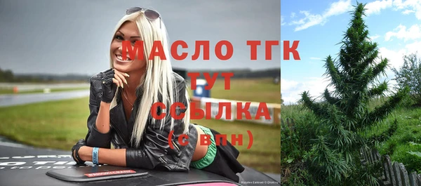 индика Абинск