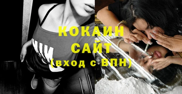 индика Абинск
