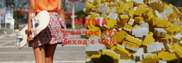 индика Абинск